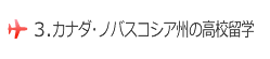 3.�m�o�X�R�V�A�B�̍��Z���w
