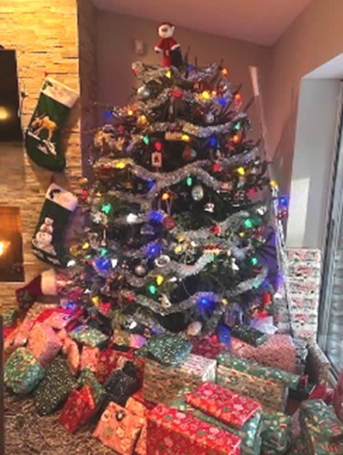 Kokona�̃t�����_�B(�A�����J)�ւ̍��Z��-���w-�̌��k �T������