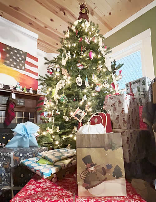 Momo�̃J���U�X�B(�A�����J)�ւ̍��Z��-���w-�̌��k �U������