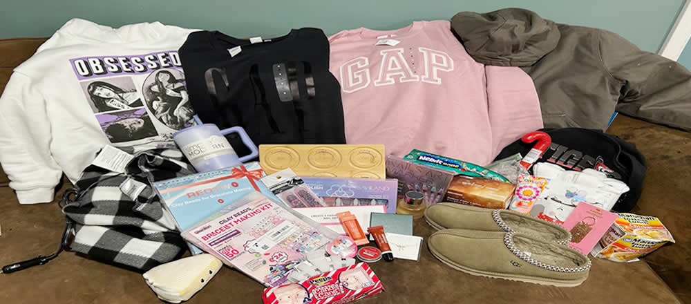 Momo�̃J���U�X�B(�A�����J)�ւ̍��Z��-���w-�̌��k �U������