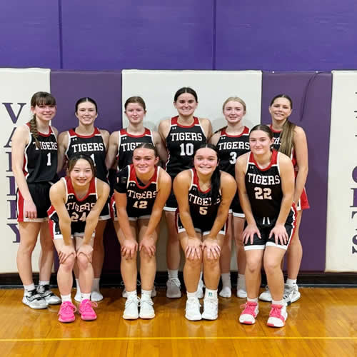 Momo�̃J���U�X�B(�A�����J)�ւ̍��Z��-���w-�̌��k �U������