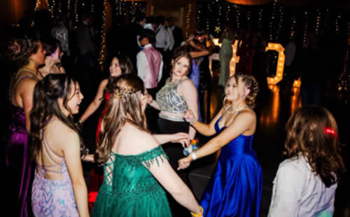 Momo�̃J���U�X�B(�A�����J)�ւ̍��Z��-���w-�̌��k �W������