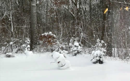 Ruka�̃~�V�K���B(�A�����J)�ւ̍��Z��-���w-�̌��k �T������